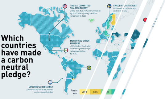 Net Zero Carbon Pledge